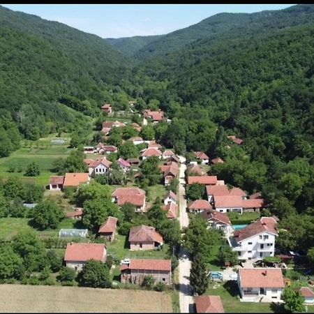 Domacinstvo Trifunovic Daire Pretresnja Dış mekan fotoğraf