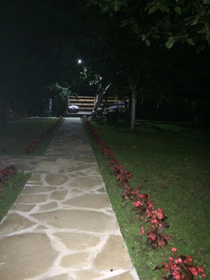 Domacinstvo Trifunovic Daire Pretresnja Dış mekan fotoğraf