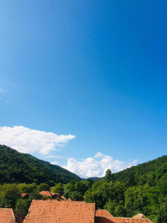 Domacinstvo Trifunovic Daire Pretresnja Dış mekan fotoğraf