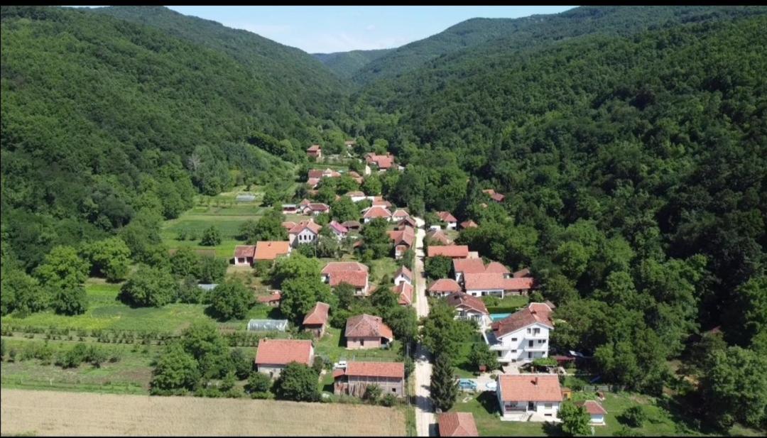 Domacinstvo Trifunovic Daire Pretresnja Dış mekan fotoğraf